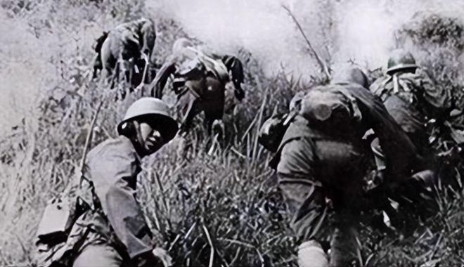 對(duì)越自衛(wèi)反擊戰(zhàn)，歷史回顧與意義解析，對(duì)越自衛(wèi)反擊戰(zhàn)，歷史回顧與深遠(yuǎn)意義解析