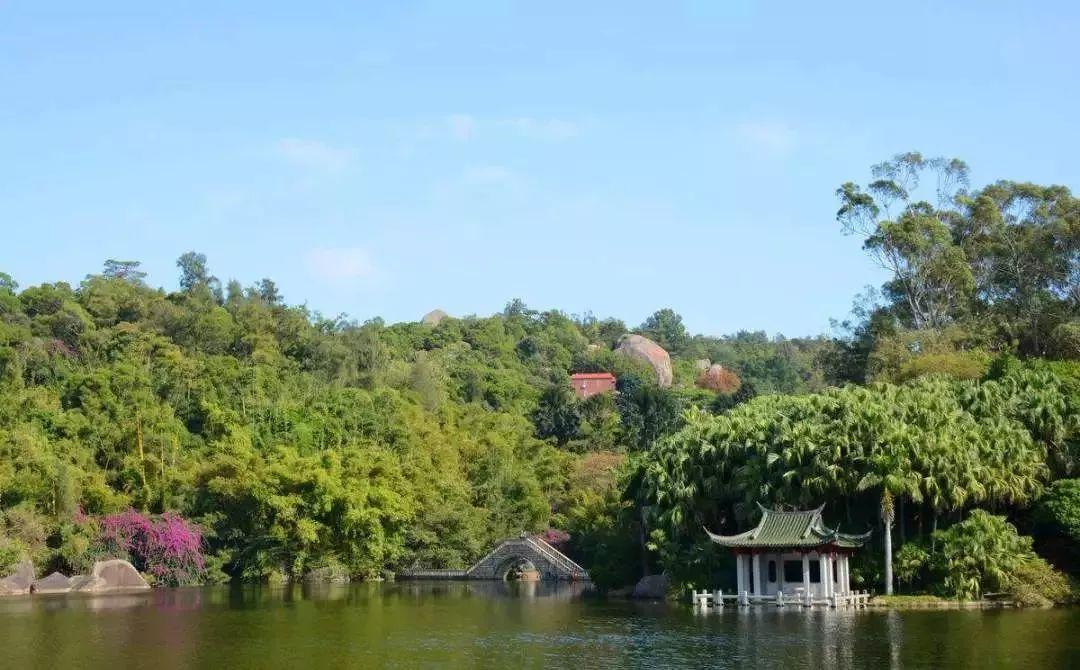 廈門有哪些景點——探索這座美麗城市的魅力景點，廈門美麗景點探索之旅，城市魅力景點全攻略