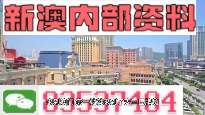 新澳新澳門正版資料，探索與解析，新澳新澳門正版資料深度解析與探索