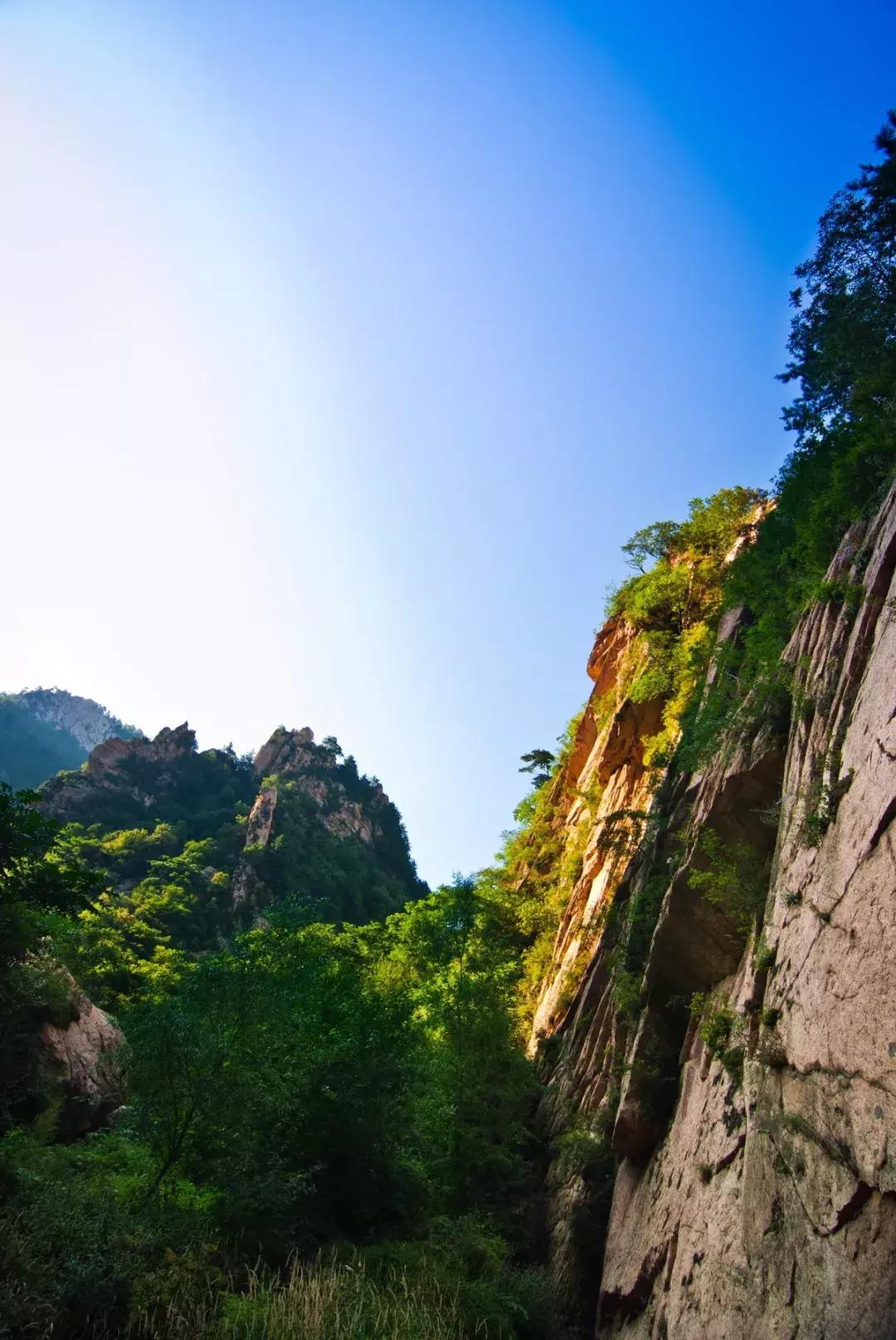 劉伯溫一肖中特130期，揭秘神秘預(yù)測(cè)背后的故事，劉伯溫一肖中特130期揭秘，神秘預(yù)測(cè)背后的真相探秘