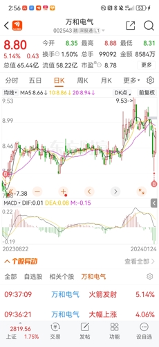 探索002543股吧的獨特魅力與價值，揭秘，002543股吧的獨特魅力與投資價值探討