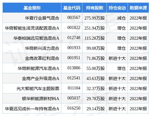 華夏全球基金今日凈值——深度解析市場趨勢與投資策略，華夏全球基金今日凈值揭秘，市場趨勢深度解讀與投資策略探討