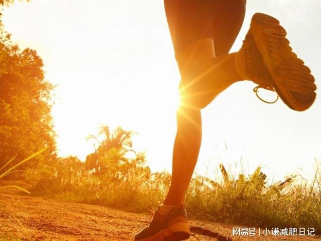 懶人福音！揭秘適合懶人的減肥秘訣，懶人福音，揭秘輕松減肥秘訣！