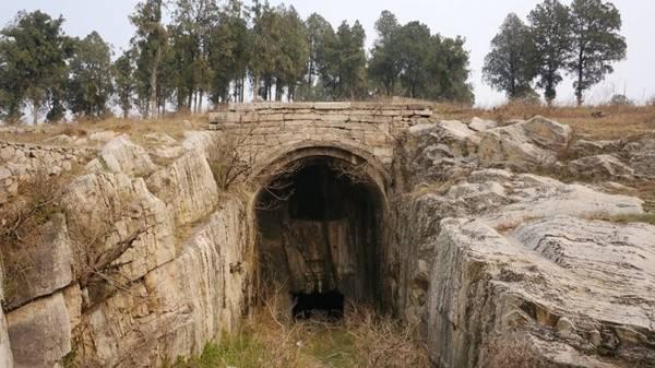 關于男的吻我下邊是不是就是愛我的探討與解析，關于男性親吻與愛的探討與解析，真實情感還是社交行為？
