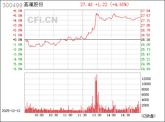 探索高瀾股份股吧，300499的潛力與價(jià)值，高瀾股份股吧潛力與價(jià)值深度探索