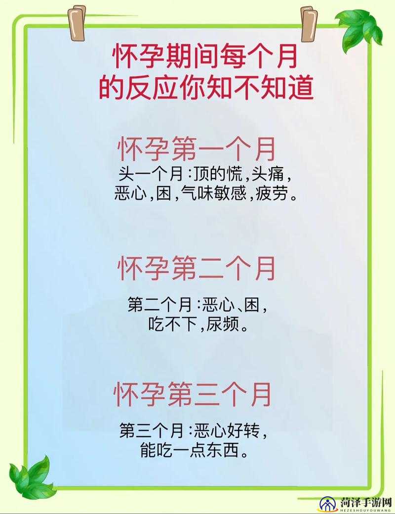 懷孕多久會有反應，早期征兆與個體差異的解析，懷孕早期反應解析，征兆出現(xiàn)時間與個體差異探討