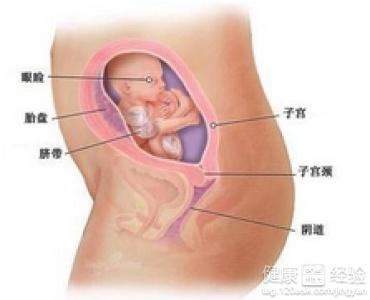 懷孕一個月，早期懷孕的注意事項與體驗，懷孕一個月，早期懷孕的注意事項及體驗分享