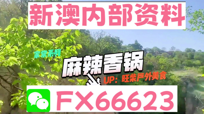新澳精準(zhǔn)資料免費(fèi)提供，探索與實(shí)踐的指南，新澳精準(zhǔn)資料免費(fèi)分享，探索與實(shí)踐的導(dǎo)航指南