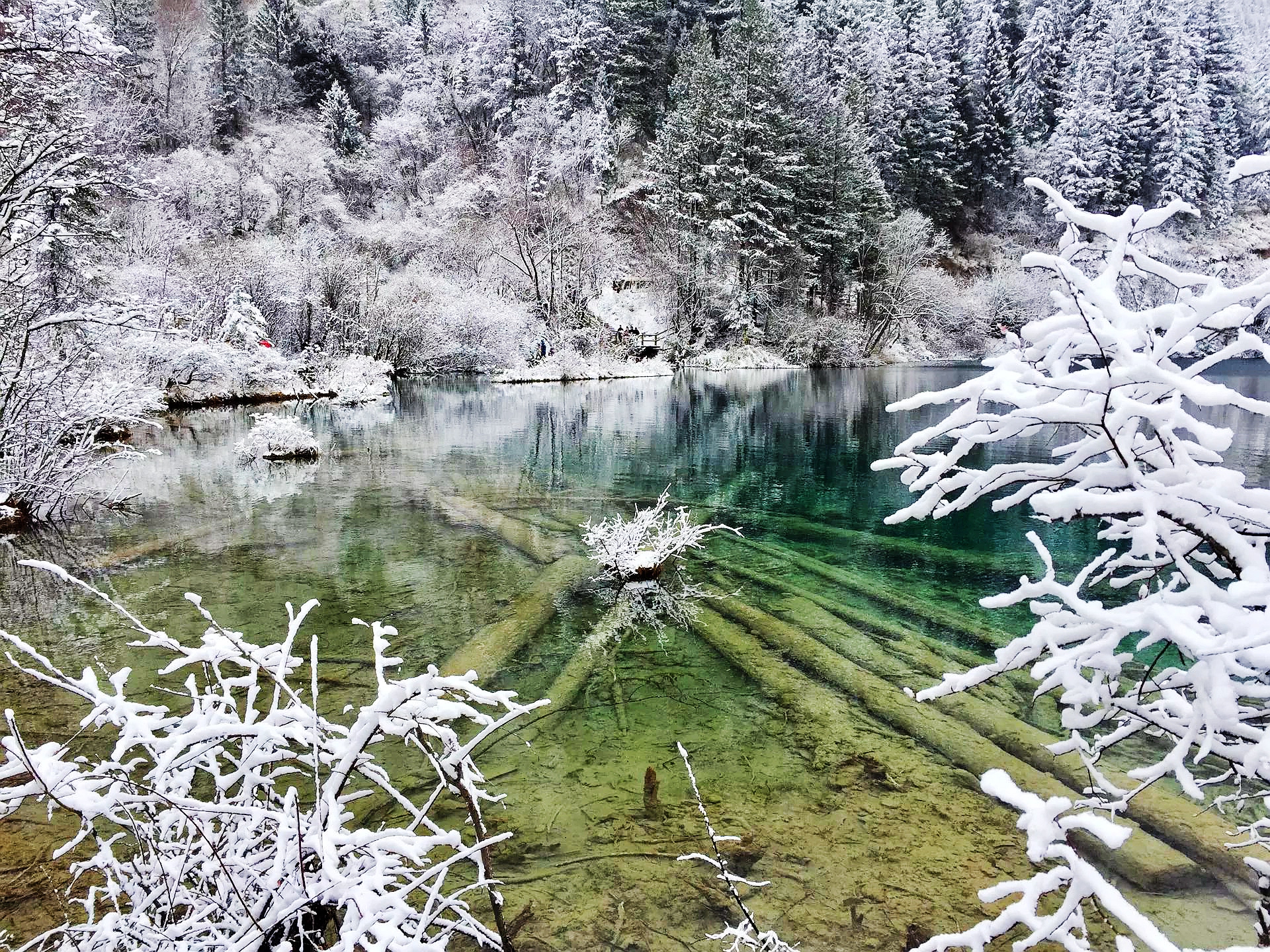 冬季的九寨溝值得一去嗎？——一場冰雪奇緣的探尋之旅，冬季九寨溝探秘，冰雪奇緣的絕美之旅