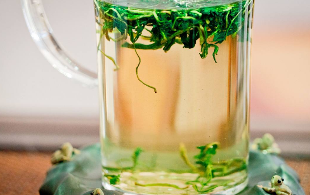 荷葉泡水喝竟有6個(gè)害處，你需要知道的重要信息，荷葉泡水喝的六大潛在害處，重要信息須知