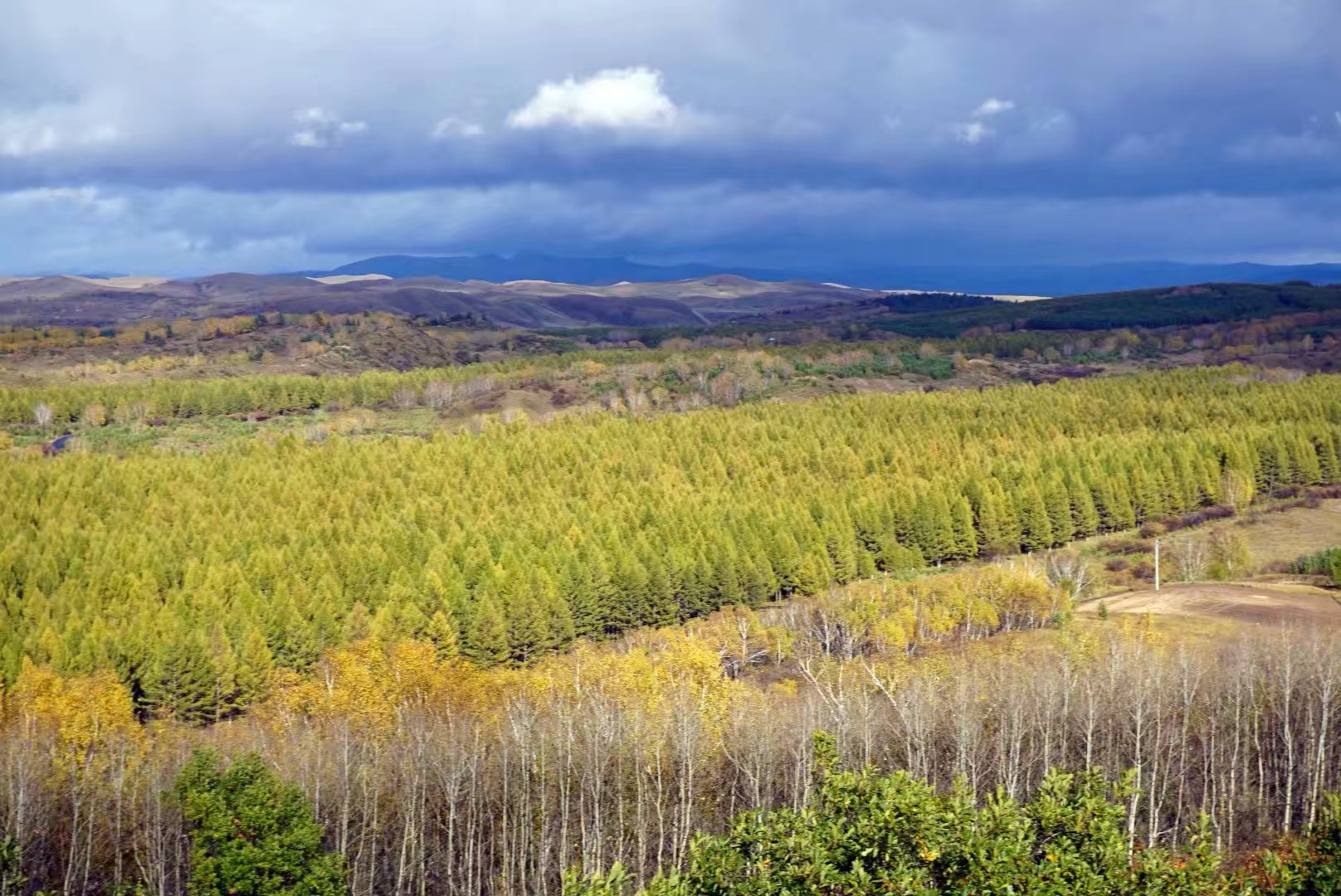 塞罕壩天氣預報，洞悉天氣變化，為您的旅行或生活提供精準信息，塞罕壩天氣預報，精準洞悉天氣變化，為您的出行保駕護航