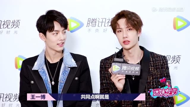 揭秘自姐王中王一肖中特的神秘面紗，深度解讀背后的SEO策略，揭秘自姐王中王一肖中特的神秘面紗，深度解析背后的SEO策略之道