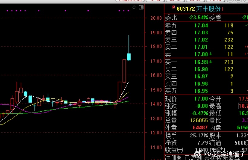 萬豐化工股票，投資潛力與市場前景分析，萬豐化工股票，投資潛力與前景深度分析