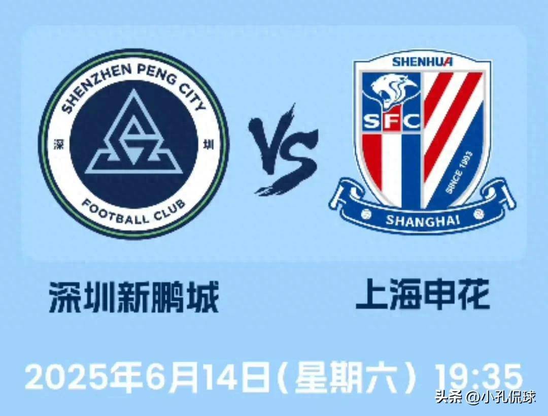 揭秘王中王，一特一碼一肖一中背后的秘密，揭秘王中王背后的秘密，一特一碼一肖一中的神秘面紗