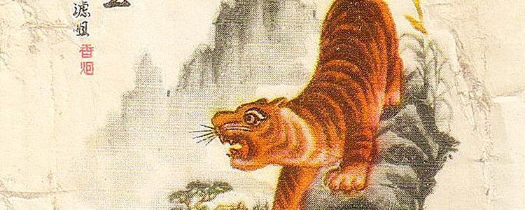 猛虎下山王中王，一生肖的獨特象征與奧秘，猛虎下山，生肖的獨特象征與奧秘