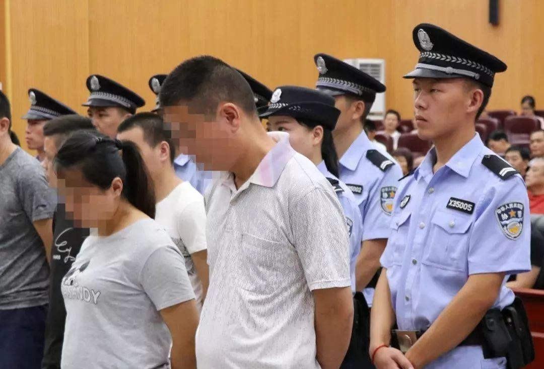 香港特馬王資料免費公開，揭秘背后的秘密，香港特馬王資料揭秘，免費公開背后的秘密