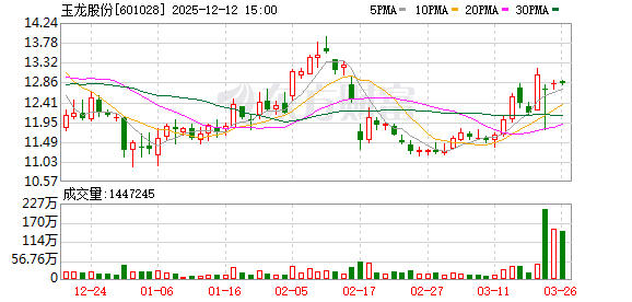 玉龍股份股吧，深度解析與前景展望，玉龍股份股吧深度解析及前景展望