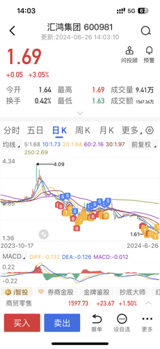 探索匯鴻集團(tuán)股吧的獨特魅力，深度解析600981股票的價值潛力，匯鴻集團(tuán)股吧深度探索，解析股票價值潛力與獨特魅力