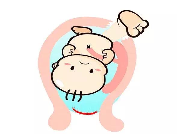 孕囊算不算一條生命，深度解析胚胎早期發(fā)育的奧秘，孕囊與胚胎早期發(fā)育，深度解析一條生命的誕生奧秘