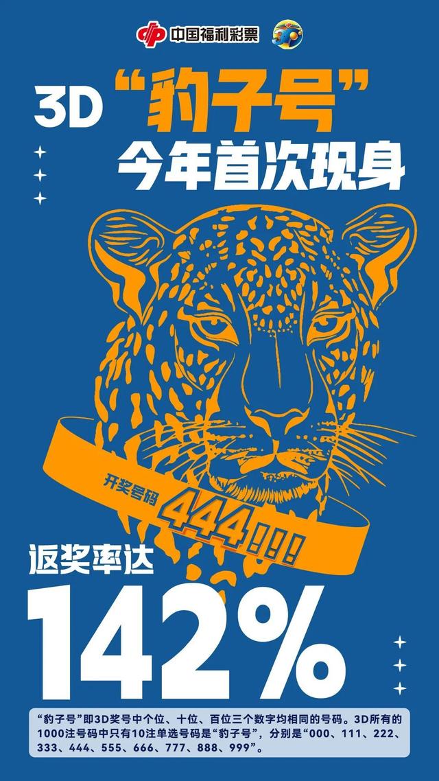 王中王金錢(qián)豹一肖中特，揭秘背后的神秘故事與SEO奧秘，揭秘王中王金錢(qián)豹背后的神秘故事與SEO奧秘