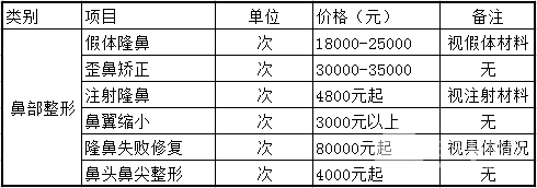 鼻子美容手術(shù)費用詳解，多少錢？，鼻子美容手術(shù)費用全面解析，手術(shù)費用究竟是多少？
