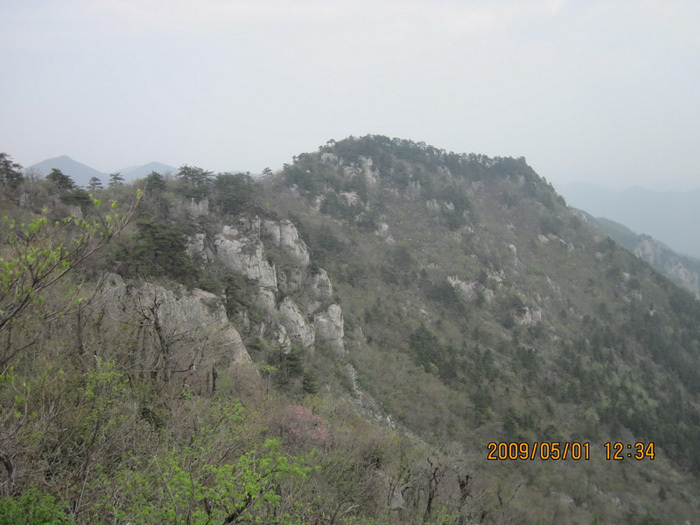 天目山風(fēng)景區(qū)，自然美景的瑰寶，天目山風(fēng)景區(qū)，自然美景的絕美瑰寶