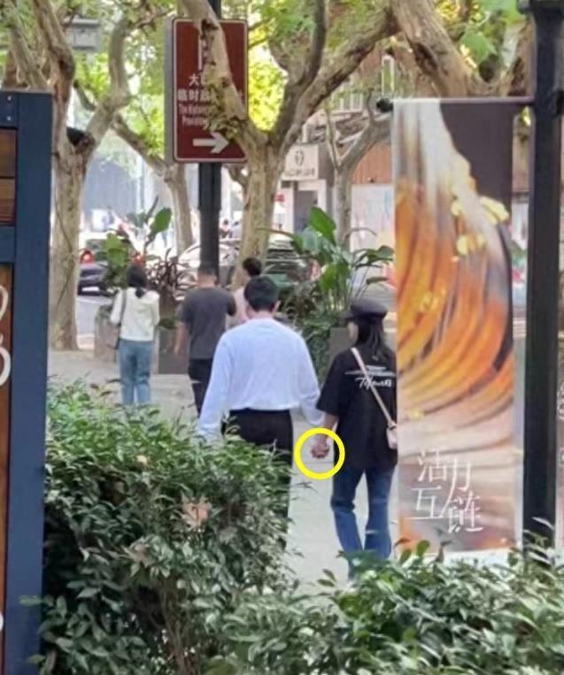 鮑蕾個(gè)人資料圖片，深度解析與探索，鮑蕾個(gè)人資料圖片，深度探究與揭秘