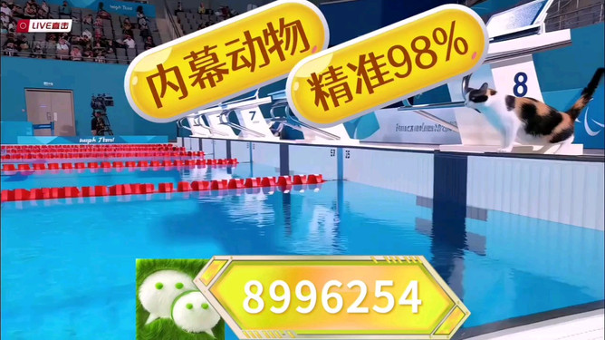 澳門王中王，揭秘期期中秘密，探尋博彩世界的新機遇，澳門王中王，揭秘博彩世界的新機遇與期期中秘密