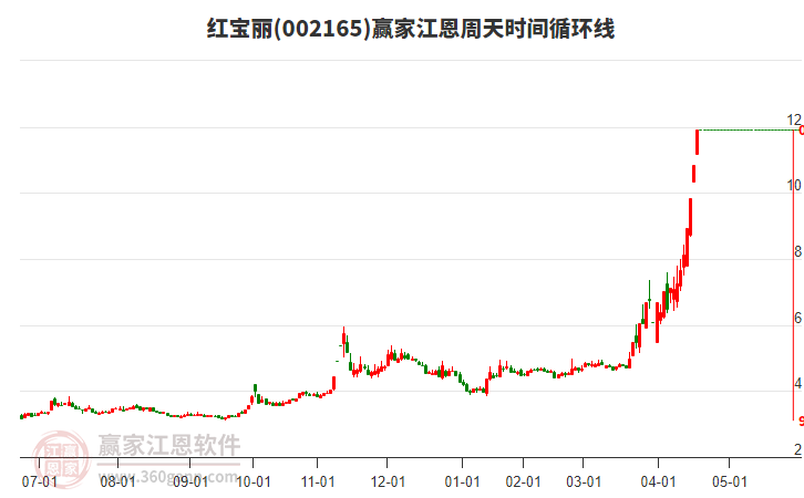 紅寶麗股票，投資潛力與市場前景分析，紅寶麗股票，投資潛力與市場前景深度剖析