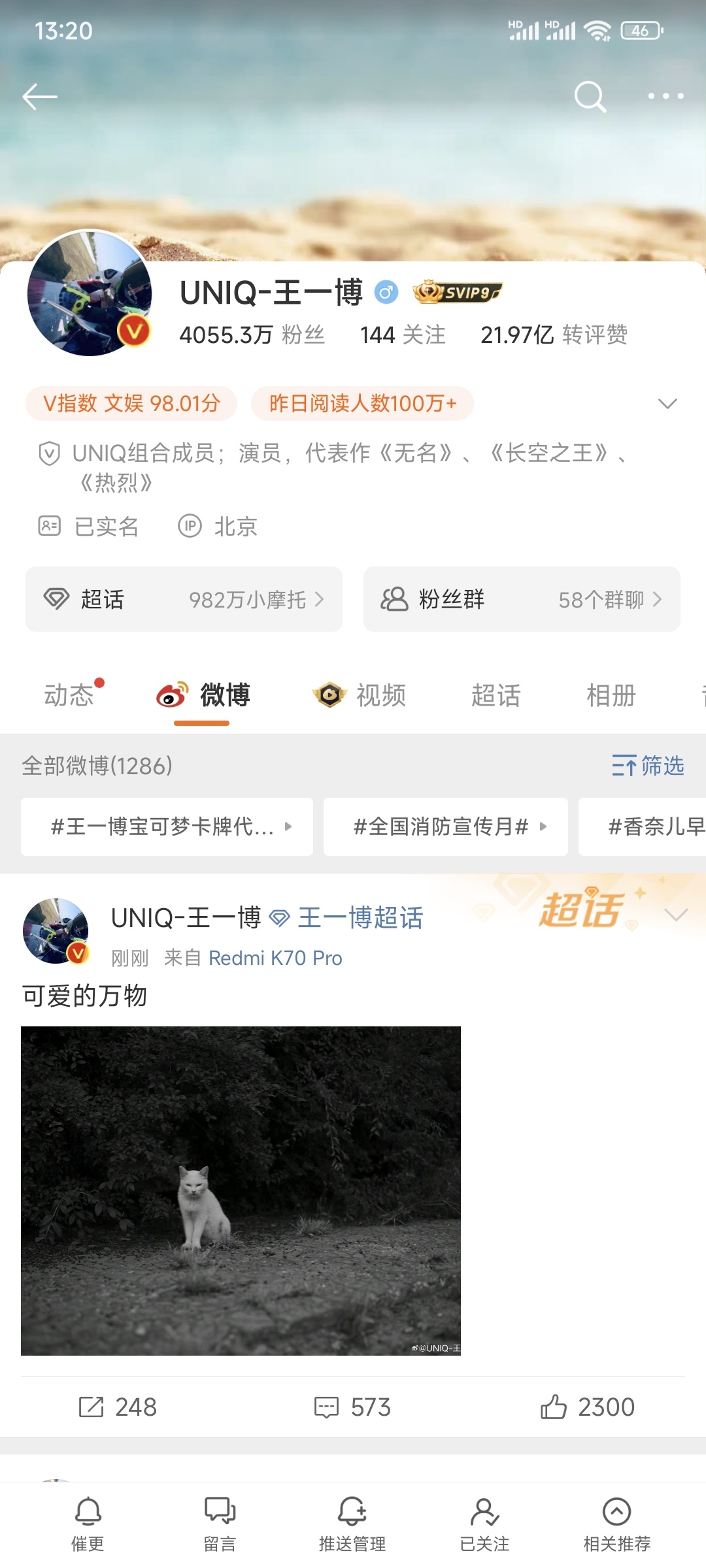 王中王一肖一，全年資料的深度解析，王中王一肖一全年資料深度解析