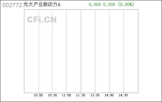 關(guān)于數(shù)字002772的神秘面紗與SEO優(yōu)化策略，數(shù)字002772的神秘面紗與SEO優(yōu)化策略揭秘