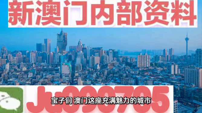 新澳今晚特馬，9點30分的期待與激情，新澳之夜，9點30分的特馬期待與激情之夜