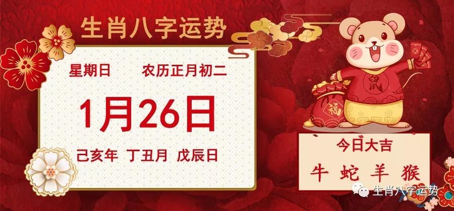 二肖二碼，深度解析與SEO優(yōu)化策略，二肖二碼深度解析與SEO優(yōu)化策略探討