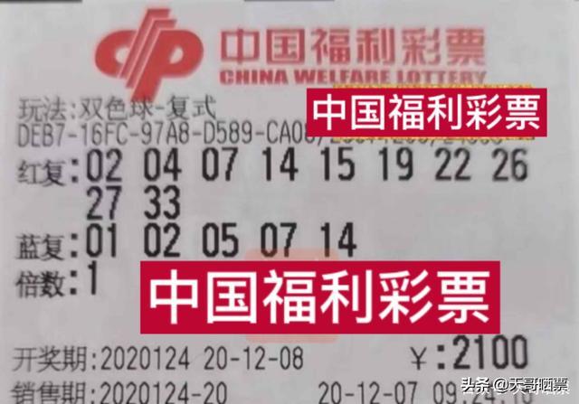 124期王中王平特一肖，深度解析與預(yù)測，深度解析與預(yù)測，第124期王中王平特一肖